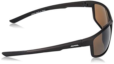 Alpina defey - sports glasses