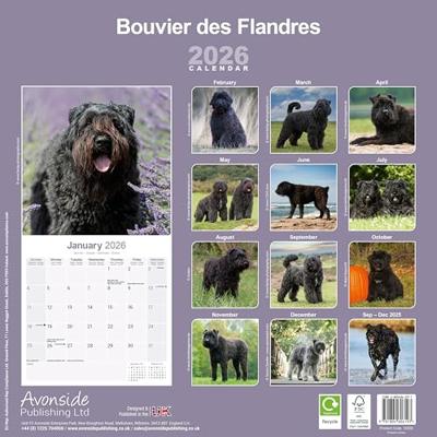 Bouvier Kalender 2026