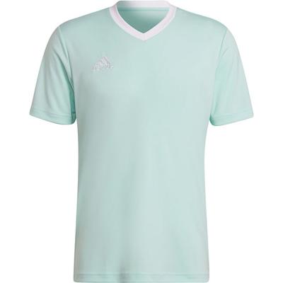 adidas Entrada 22 Voetbalshirt Mintgroen Wit