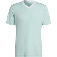 adidas Entrada 22 Voetbalshirt Mintgroen Wit - thumbnail