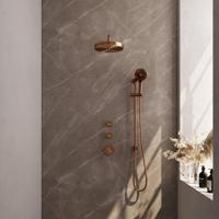BRAUER Stripe Thermostatische Inbouw Regendouche - SET 11 - 25cm douchekop - gebogen muurarm - 3-standen handdouche - doucheslang - geïntegreerde glijstang - koper geborsteld PVD 5-GK-385 - thumbnail