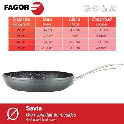 Pan Fagor Savia Gehard aluminium Grijs Ø 24 cm
