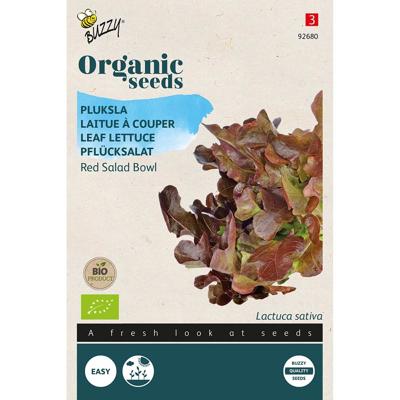 Zaden Organic Pluksla Red Salad Bowl (BIO) Buzzy - Buzzy