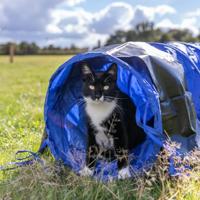 TRIXIE DOG ACTIVITY AGILITY TUNNEL BLAUW 40 CMX2 MTR - thumbnail