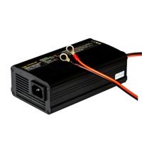 Rebelcell li-ion acculader 16.8 Volt 8 Ampere - thumbnail