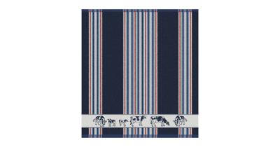 DDDDD Keukendoek Friesian blue 50x55cm