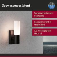 Paulmann Tralia 94787 LED-buitenlamp (wand) LED E27 Antraciet - thumbnail