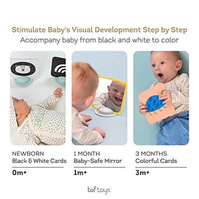 Activiteitenkaarten - TAF TOYS meerkleurig