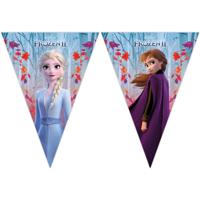 Folat BV Disney frozen 2 vlaggenlijn, 2mtr. - thumbnail