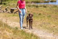 TRIXIE Soft Rope 1984007 Hondenriem, M-L 1,0 m/10 mm, roze, robuuste lange hondenriem van touw met Trigger Snap Hook, voor middelgrote honden, zacht en rond materiaal met polsband - thumbnail