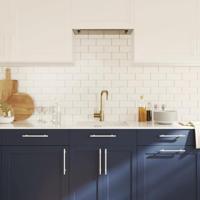 VidaXL Handvatten 10 st 160 mm roestvrij staal zilverkleurig - thumbnail