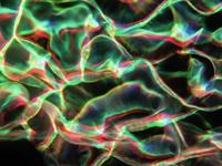 EUROLITE LED WF-40 Water Effect - thumbnail