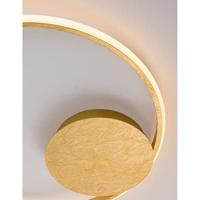 Lyora Ronde plafondlampFuline goud Ø 50cm - 9348071 - thumbnail