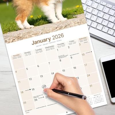 Shetland Sheepdog Kalender 2026 Shetland Sheepdog Kalender 2026