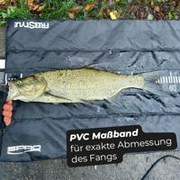 Spro Freestyle Lite Mat 100 CLK - thumbnail