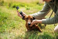 Animology Clean Ears - thumbnail