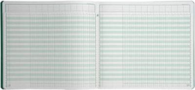 Exacompta registers, ft 27 x 32 cm, 13 kolommen op 1 bladzijde, 31 lijnen, 80 bladzijden Exacompta registers, ft 27 x 32 cm, 13 kolommen op 1 bladzijde, 31 lijnen, 80 bladzijden