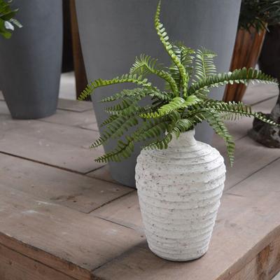 Asplenium Varen kunstplant 35cm