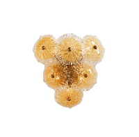 Serip - Musa wandlamp - thumbnail