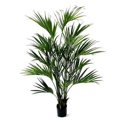 Kentia deluxe kunstpalm XL 190cm