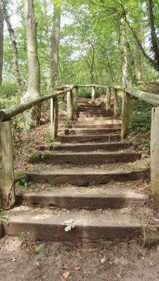 Trap Bos 70x130cm Tuinschilderij Customize-it - Customize it