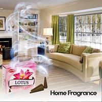 HEM Wierook Kegels Lotus (1 doosje) - thumbnail