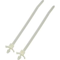 TRU COMPONENTS 1592911 TC-PWVS100203 Kabelbinder 112 mm 2.50 mm Natuur Met spreidanker 1 stuk(s) - thumbnail