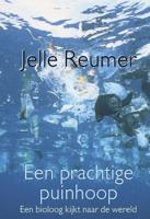 Prachtige puinhoop - Jelle Reumer - eBook (9789025431426) - thumbnail