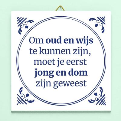 Tegeltje Jong en dom Tegeltje Jong en dom