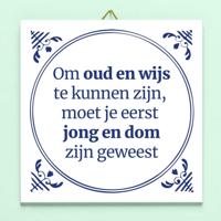 Tegeltje Jong en dom - thumbnail