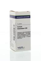 VSM Conium maculatum C30 4 Gram - thumbnail