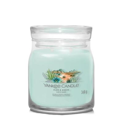 Yankee Candle aloe & agave signature medium jar