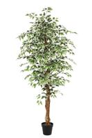 Kunstplant Ficus groen 180cm - thumbnail