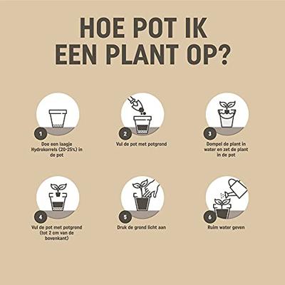 Pokon Bio Potgrond Mediterrane Planten 30L