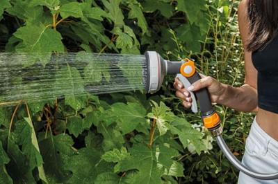 Hozelock GF80006938 Tuinbroes