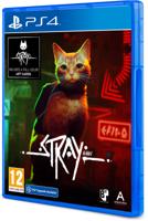 Stray - thumbnail