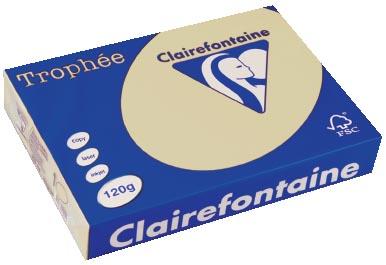 Clairefontaine Trophee A4 120gr camel 250vel
