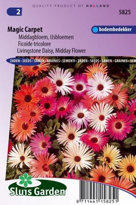 Ijsbloemen bloemzaden – Magic Carpet