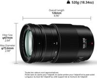 Panasonic Lumix G Vario 100-300mm F/4.0-5.6 mark II - thumbnail