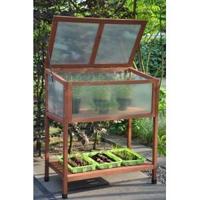 Red Leaf kweekkas - thumbnail