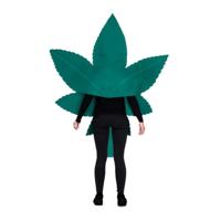 Kostuums voor Volwassenen My Other Me Één maat 2 Onderdelen Groen - thumbnail