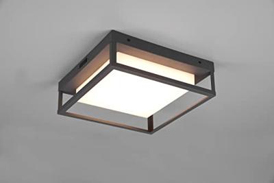 Trio Led plafondlampWitham voor buiten - 677860142