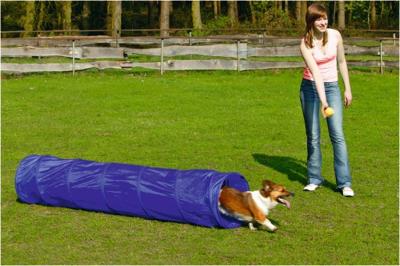 BZ AGILITY TUNNEL SMALL 198X40X40