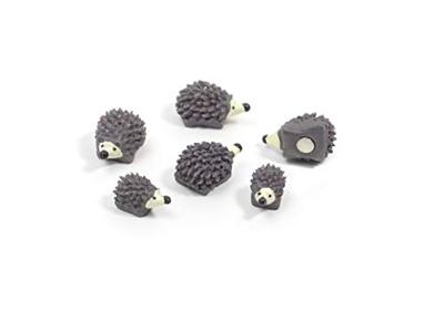 Trendform Magnetische Egel - set van 6 verschillende