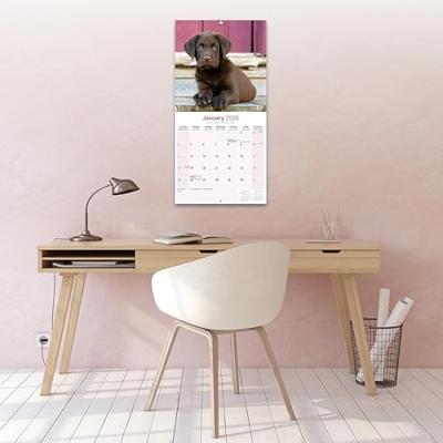 Labrador Retriever Bruin Kalender 2026 Labrador Retriever Bruin Kalender 2026