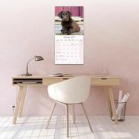 Labrador Retriever Bruin Kalender 2026 - thumbnail