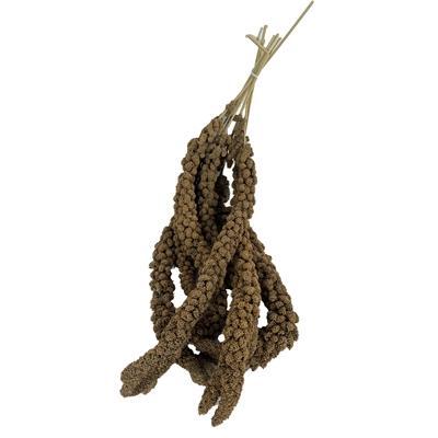 DE VRIES TROSGIERST DE VRIES TROSGIERST