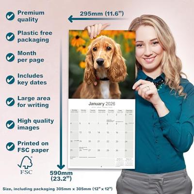 Engelse Cocker Spaniel Kalender 2026 Engelse Cocker Spaniel Kalender 2026