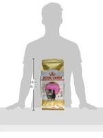 Royal Canin Persian voer voor kitten 2kg - thumbnail