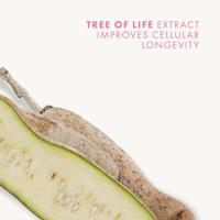 Pupa Milano - Pupa Timeless Plus Prebiotic Wrinkle Cream 50 ml - thumbnail